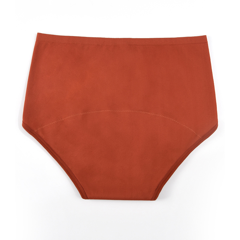 Women’s Seamless Period Pantie - đánh giá và giá Period Panty Absorbent